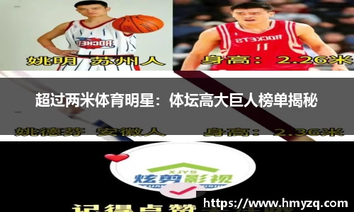 超过两米体育明星：体坛高大巨人榜单揭秘
