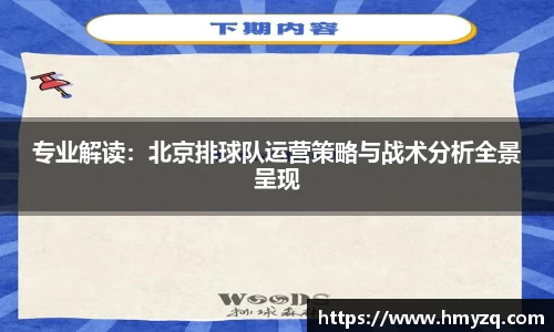 专业解读：北京排球队运营策略与战术分析全景呈现