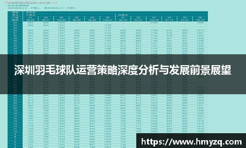 深圳羽毛球队运营策略深度分析与发展前景展望