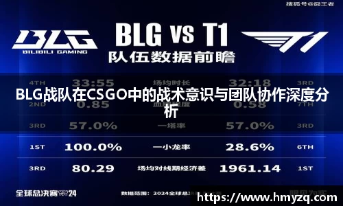 BLG战队在CSGO中的战术意识与团队协作深度分析
