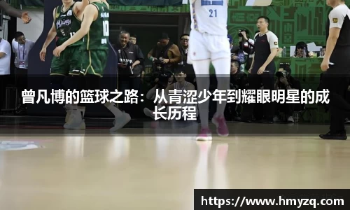 完美体育在线入口官网