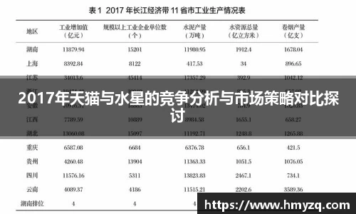 2017年天猫与水星的竞争分析与市场策略对比探讨